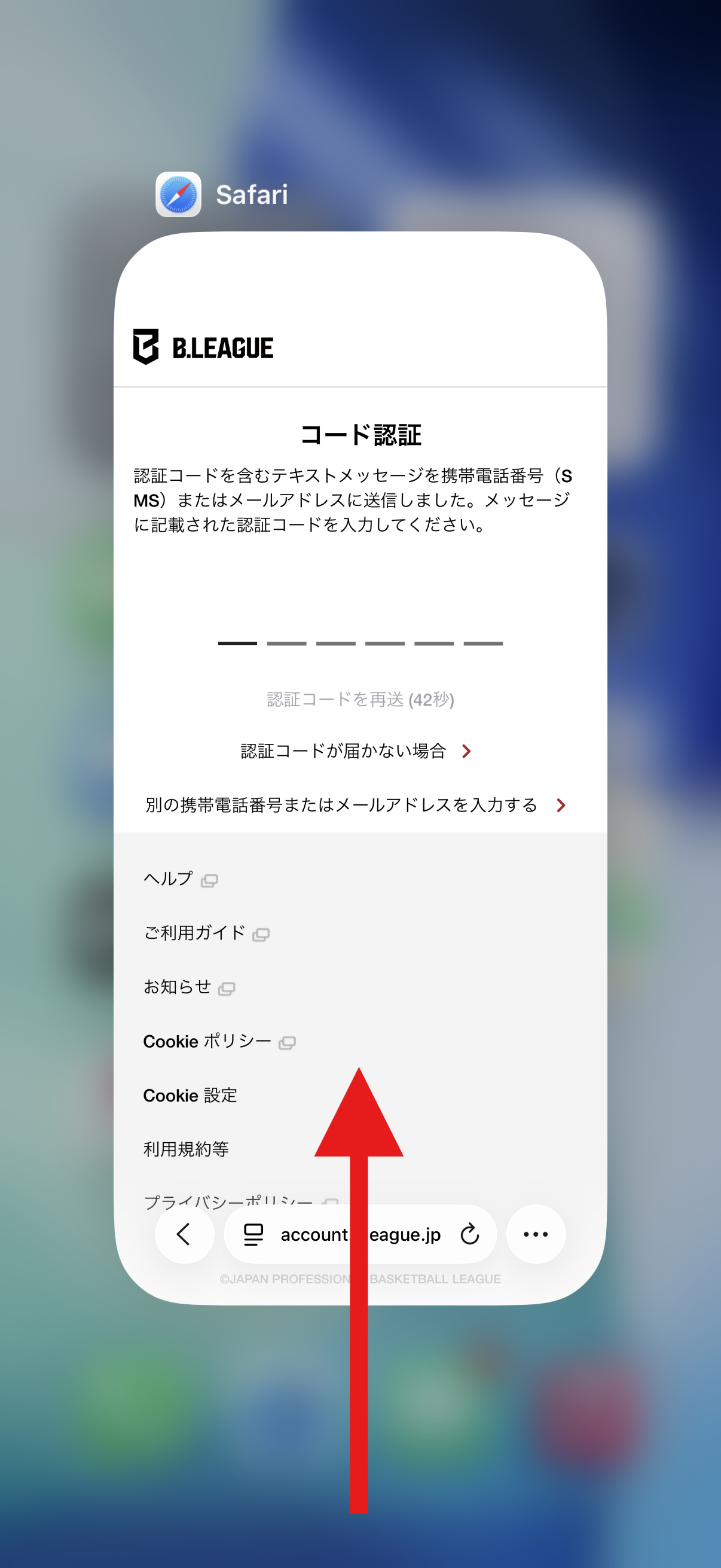 IMG_00561.png